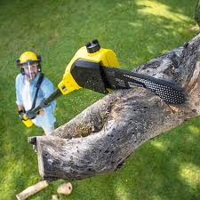 Best Pest Control for Lawns  in Bradford, OH